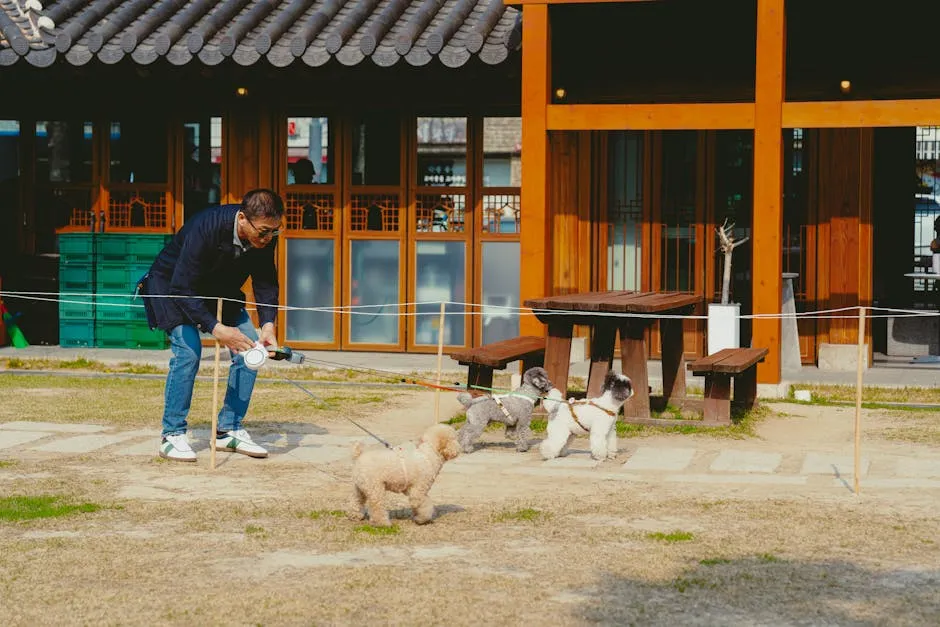 알고 보면 놀라운 15만원 1박2일 여행의 비밀 - 서울 출발 완벽 가이드