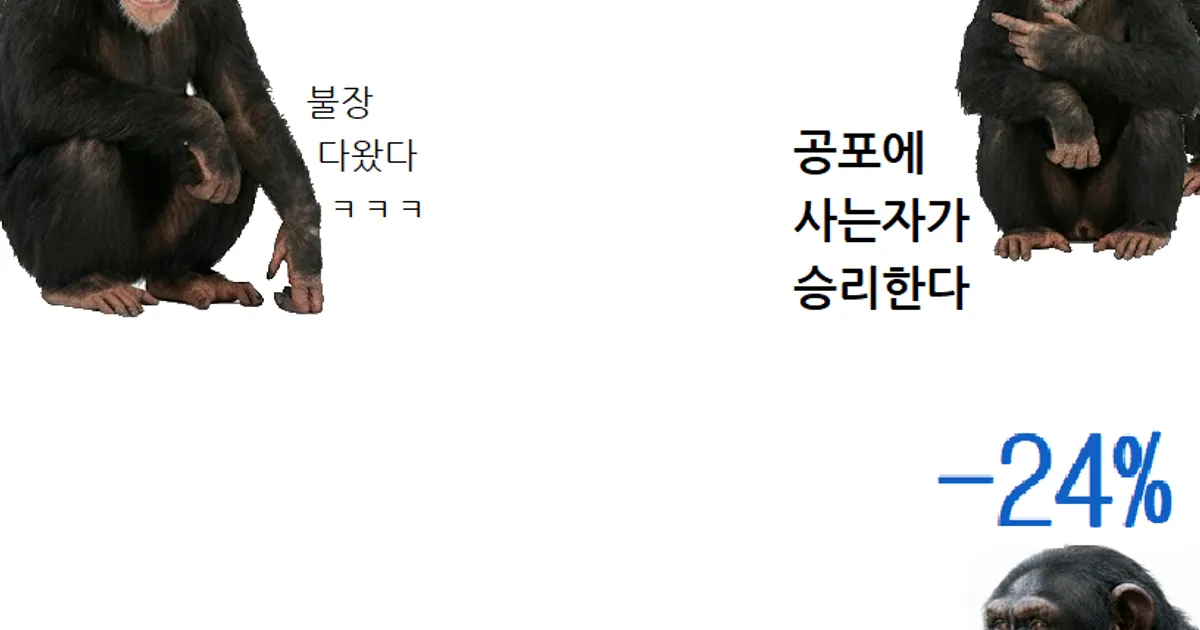 코인하는 침팬지 만화