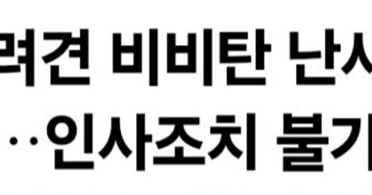 거제 해병대 강아지 사건 근황