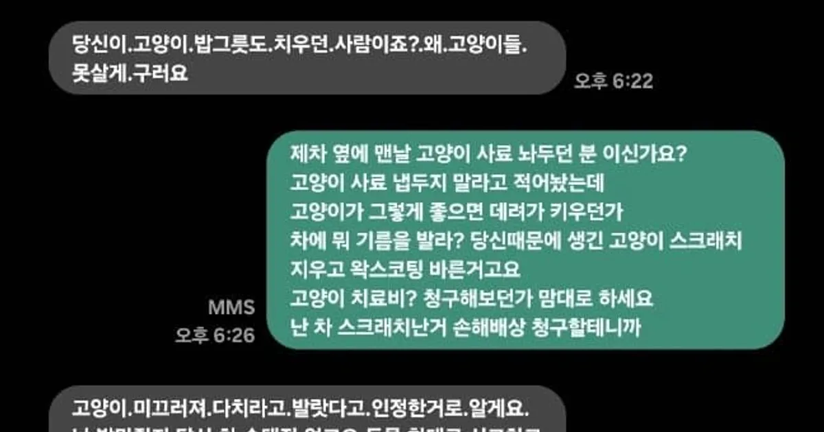 당신.차에.기름을.발라놔서.우리애가.다쳤어요.