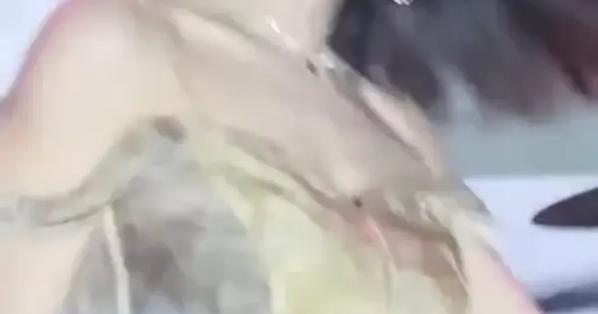 어깨끈 내린 대학축제 권은비 바운스