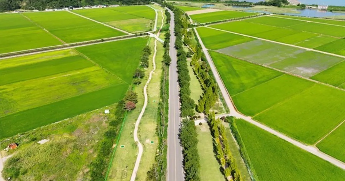 하동군, 진교 파크골프장 제2구장 조성…2만 3374㎡ 규모