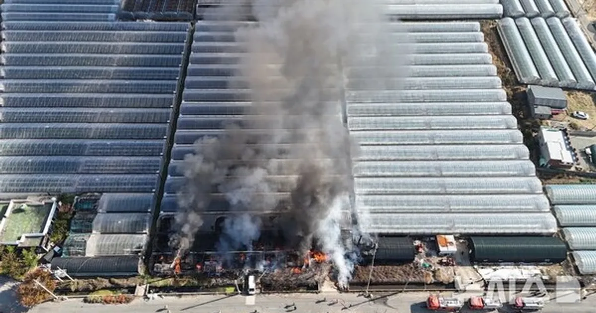 김해 블루베리 비닐하우스 불…인명 피해 없어