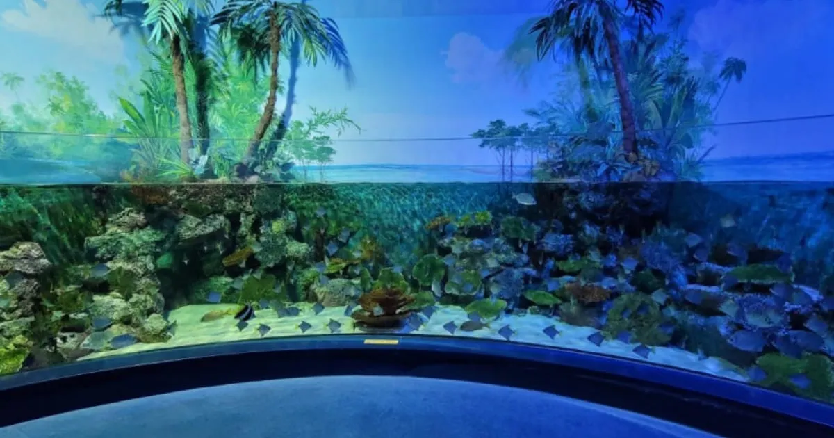 "아직은 쌀쌀한 바닷바람 피해서 예쁜 사진 남겨요!"...해파리 존과 해저 터널이 있는 실내 수족관