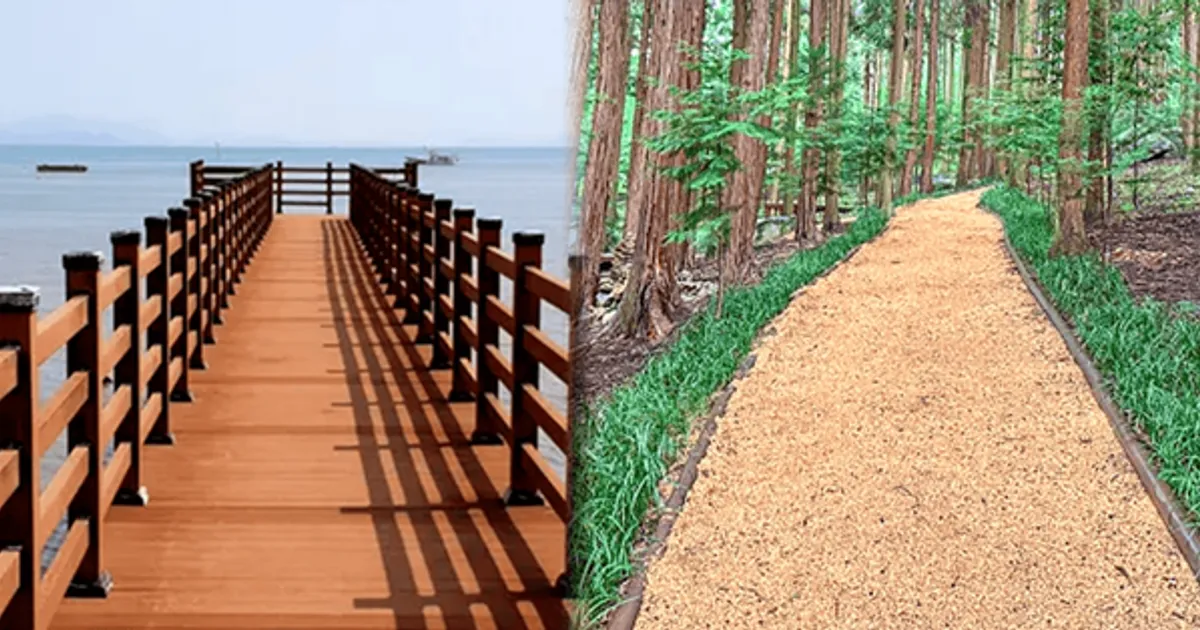 "겨울에만 느껴지는 이 고요함"...혼자든 둘이든 꼭 떠나야 할 장흥 가볼만한 곳 BEST 4 추천