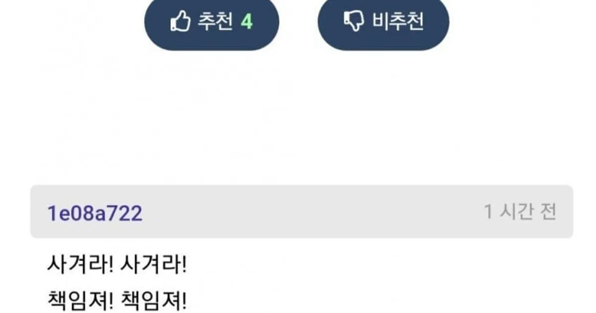 3년차 개발자 선배 가슴 만졌다...ㅈ됐다