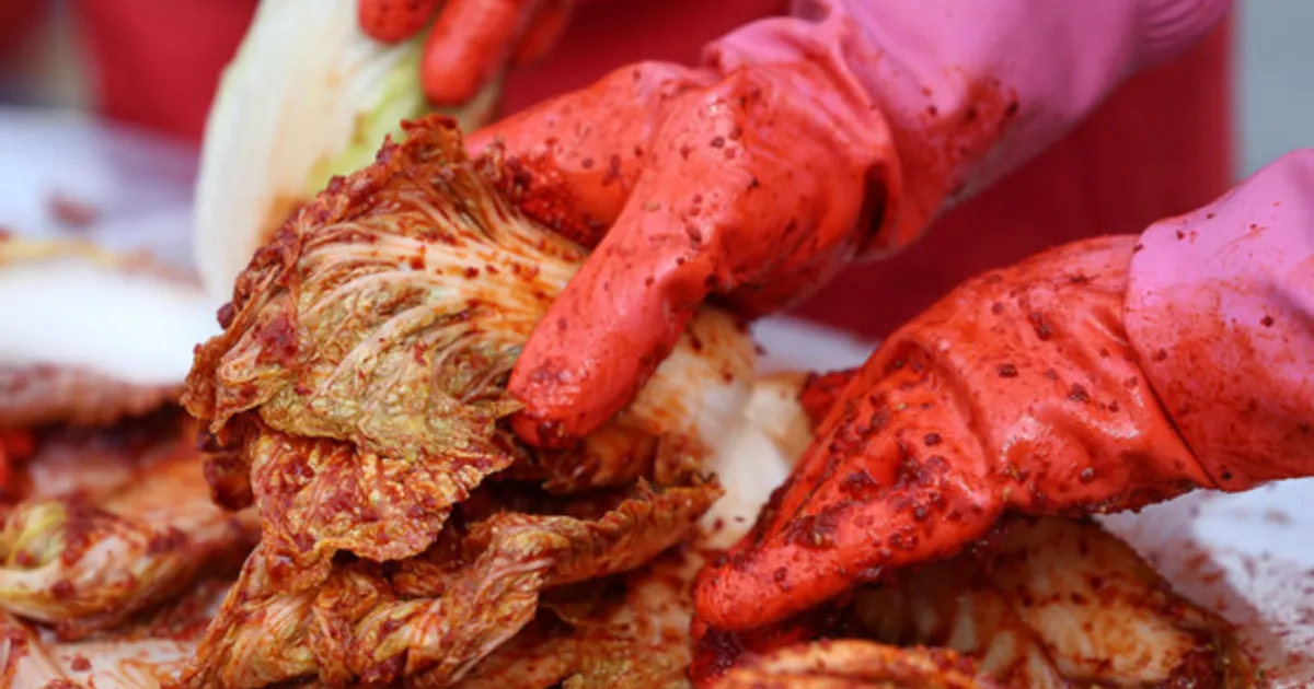 4인 김장값 전년보다 5.6% 저렴한 20만원…"정부 할인행사 영향"