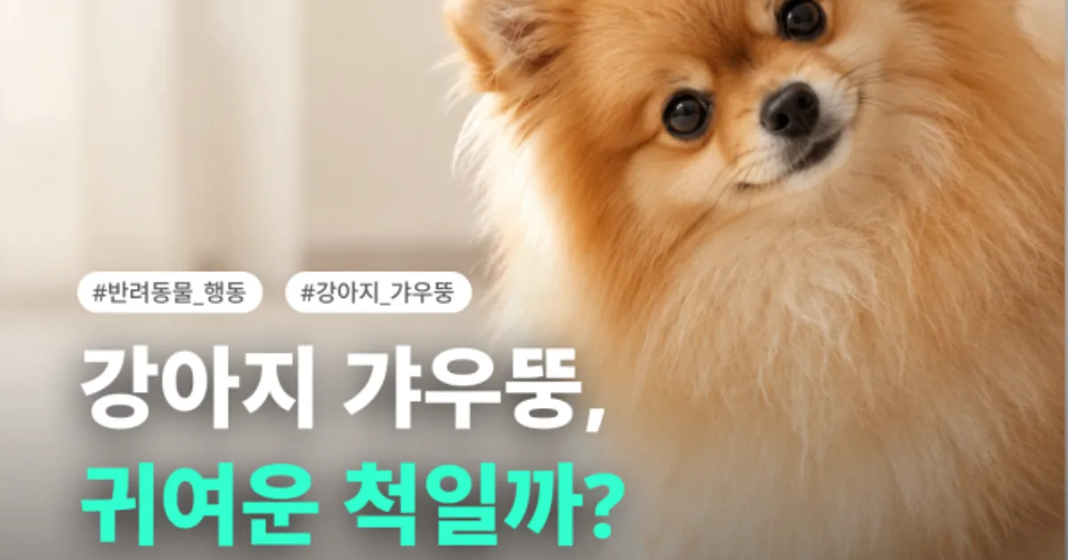 🫨 강아지 갸우뚱, 귀여운 척일까?