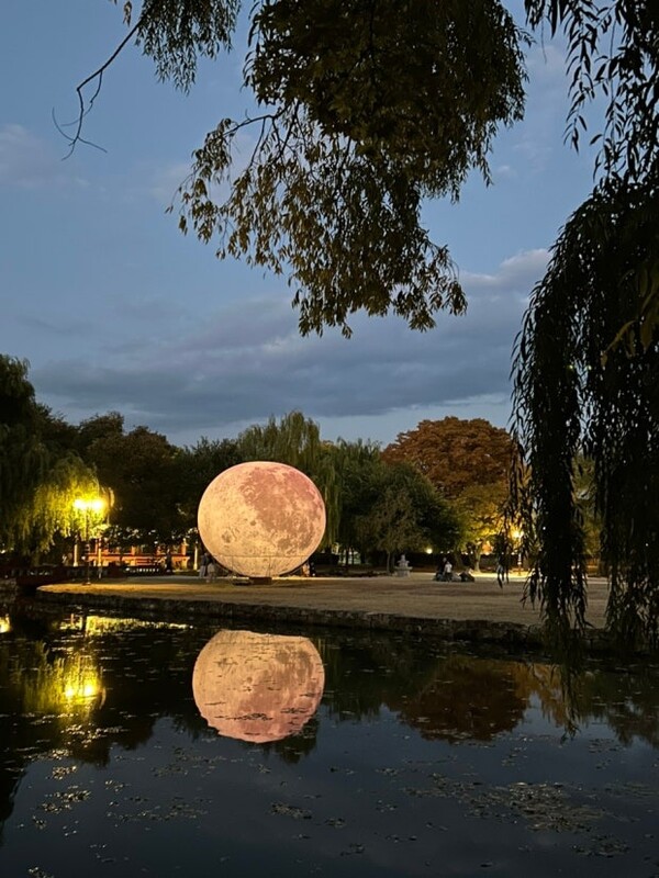 온라인 커뮤니티