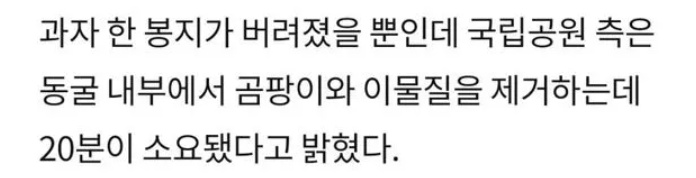 치토스 한봉지가 가져온 끔찍한 결과