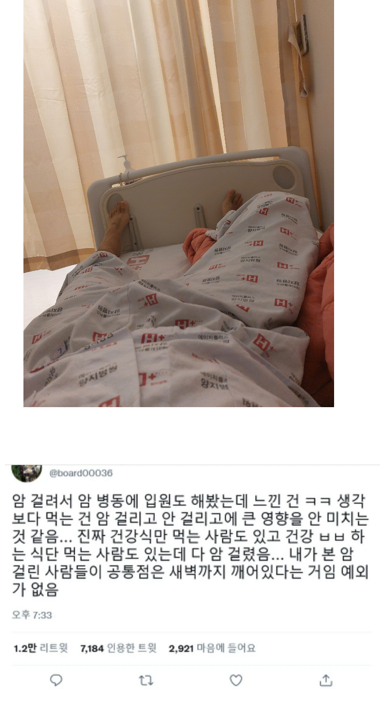 암환자가 느낀 암 걸리는 사람들의 특징