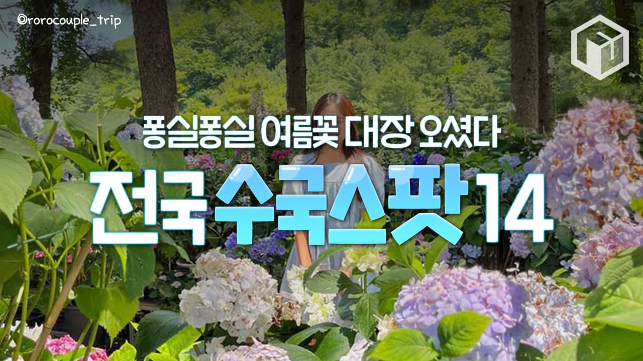 전국 수국명소 추천 / ⓒ여행톡톡