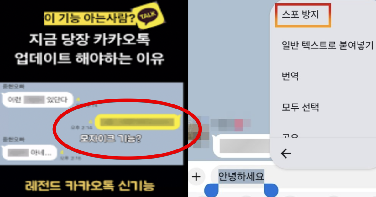 틱톡 / 인터넷 커뮤니티