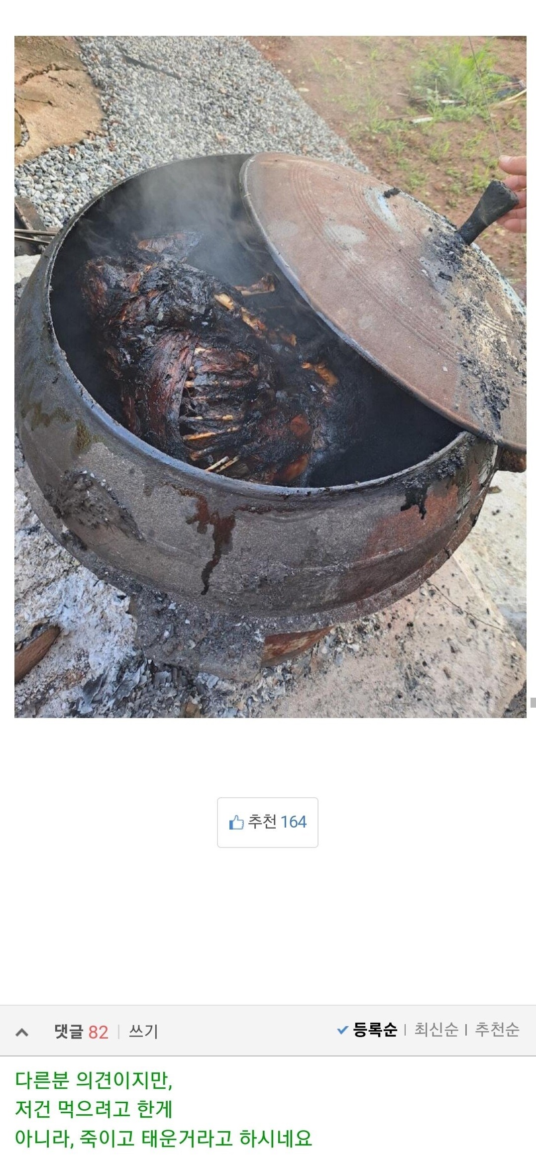 저희집 개를 윗집에서 훔쳐가 먹은것 같습니다… 4