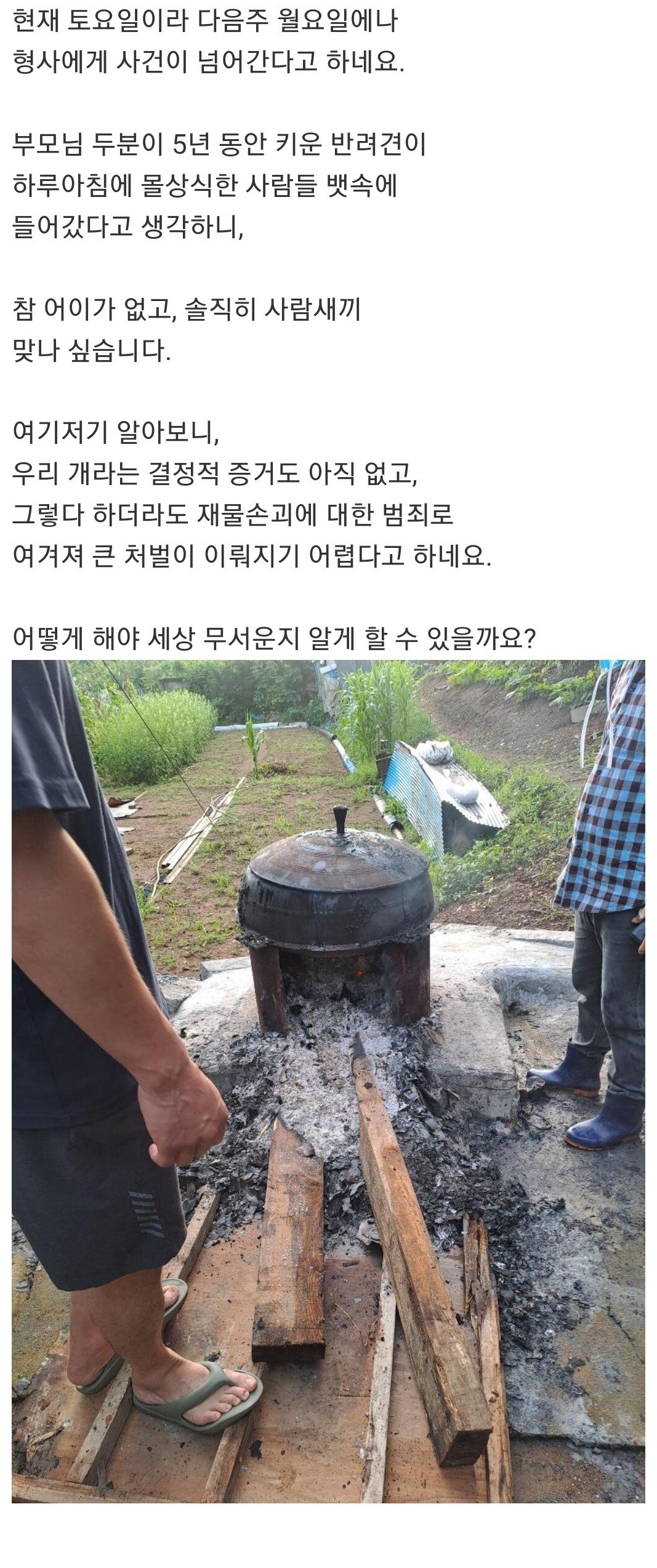 저희집 개를 윗집에서 훔쳐가 먹은것 같습니다… 3