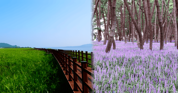 온라인 커뮤니티