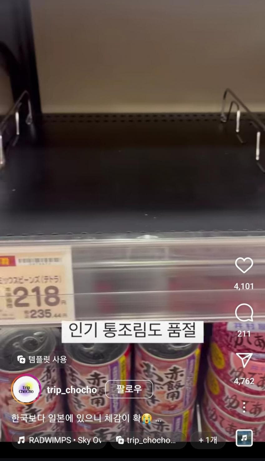 17530081600871.jpg