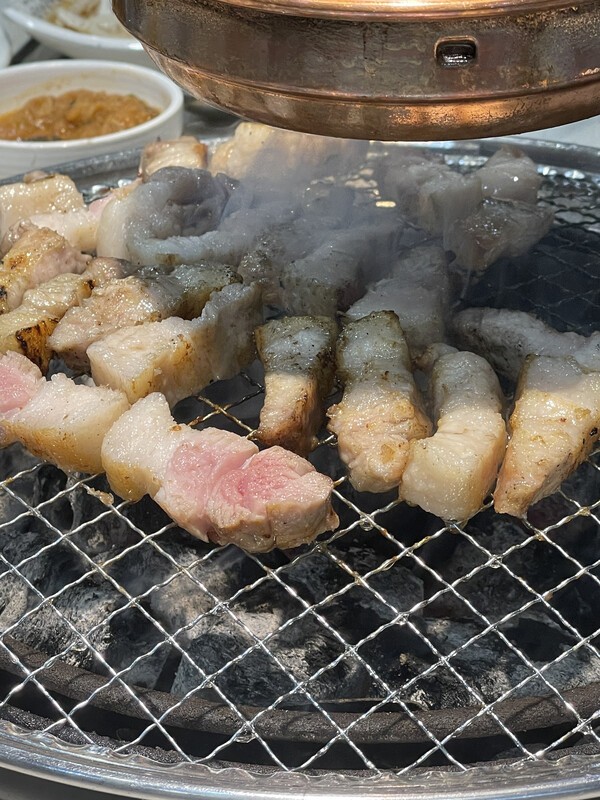 건강의 모든 것