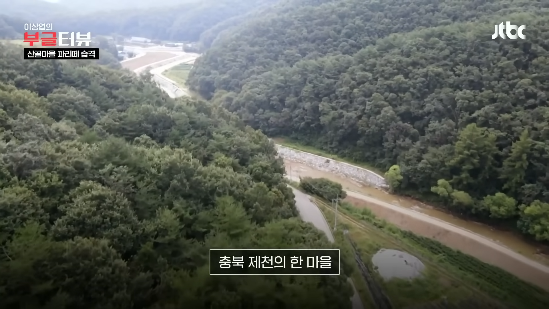 분뇨 700톤 쌓인 산속, 1년째 ',그대로',…지자체 ',대집행', 결정 _ JTBC 뉴스룸 0-21 screenshot.png