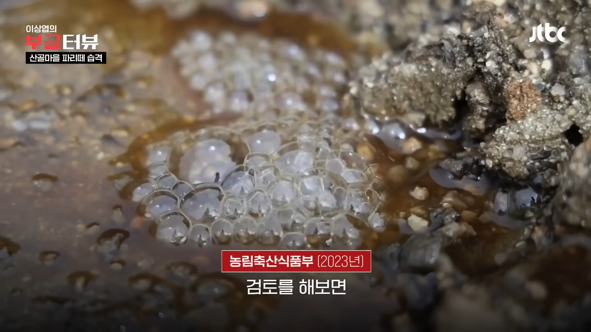 분뇨 700톤 쌓인 산속, 1년째 ',그대로',…지자체 ',대집행', 결정 _ JTBC 뉴스룸 1-11 screenshot.png