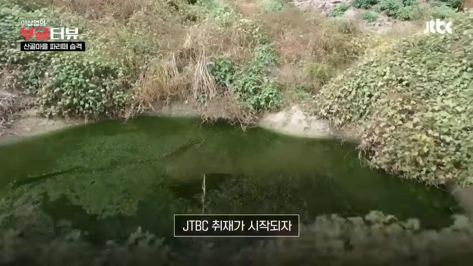 분뇨 700톤 쌓인 산속, 1년째 ',그대로',…지자체 ',대집행', 결정 _ JTBC 뉴스룸 3-24 screenshot.png