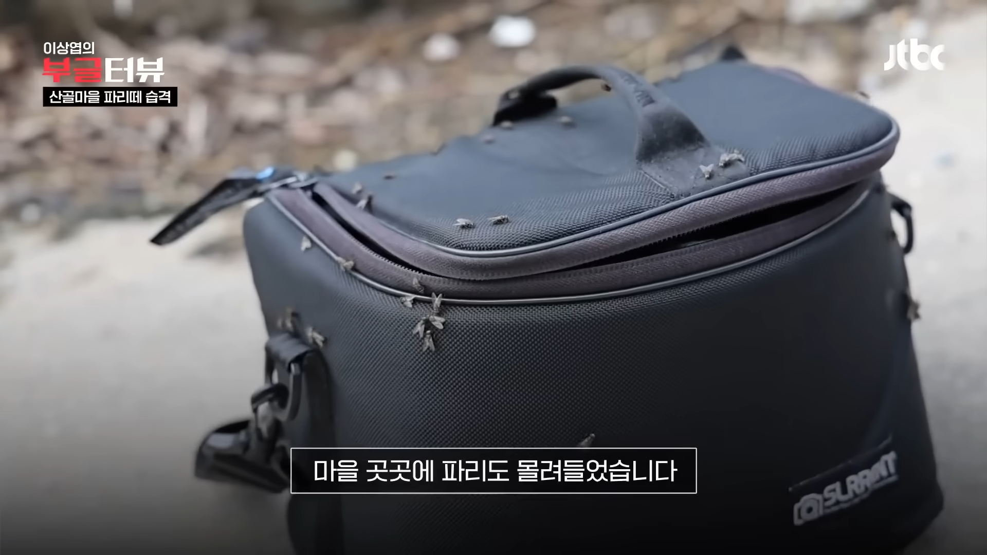 분뇨 700톤 쌓인 산속, 1년째 ',그대로',…지자체 ',대집행', 결정 _ JTBC 뉴스룸 0-45 screenshot.png