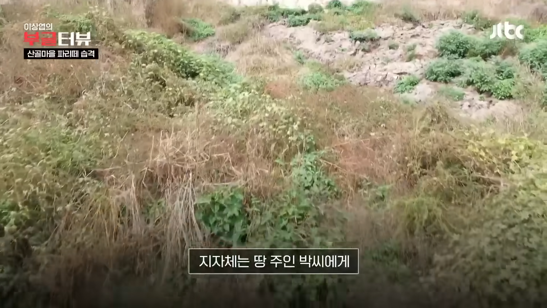 분뇨 700톤 쌓인 산속, 1년째 ',그대로',…지자체 ',대집행', 결정 _ JTBC 뉴스룸 3-25 screenshot.png