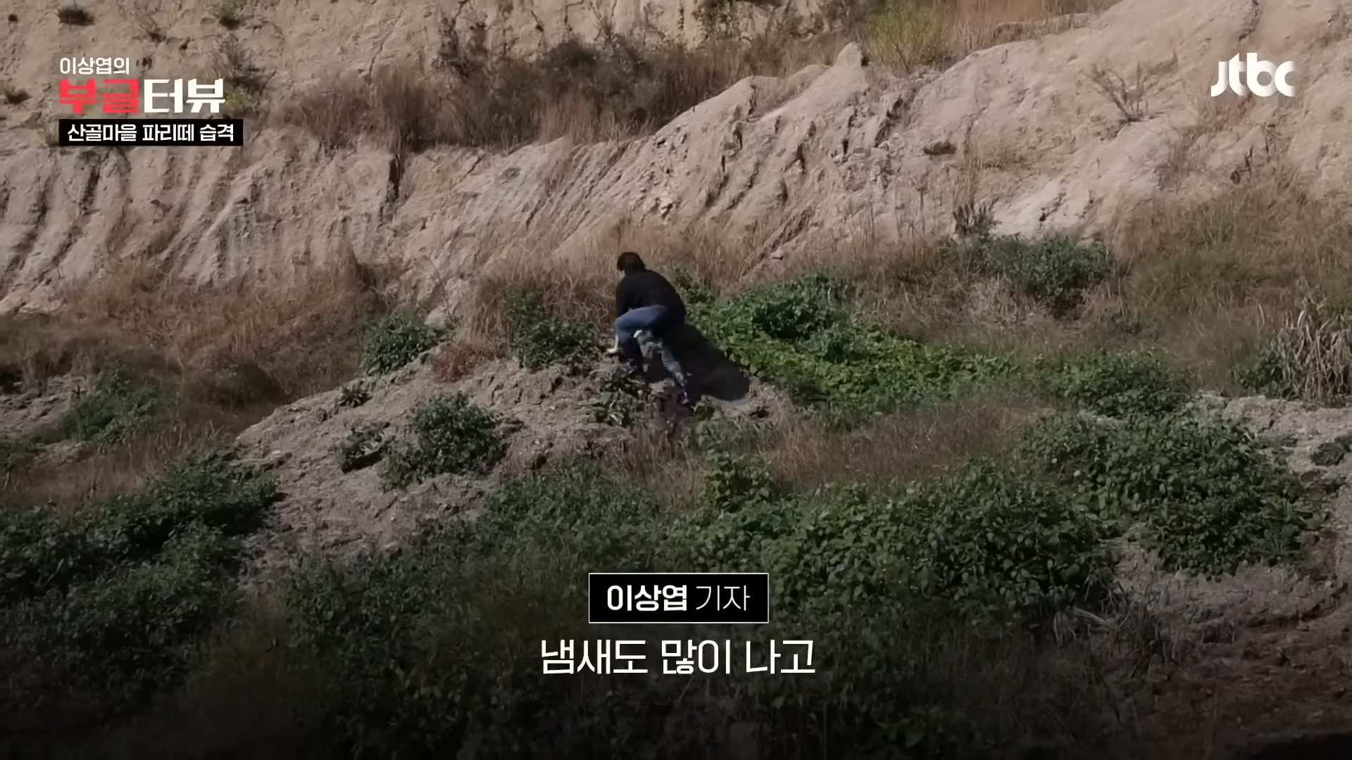 분뇨 700톤 쌓인 산속, 1년째 ',그대로',…지자체 ',대집행', 결정 _ JTBC 뉴스룸 2-11 screenshot.png