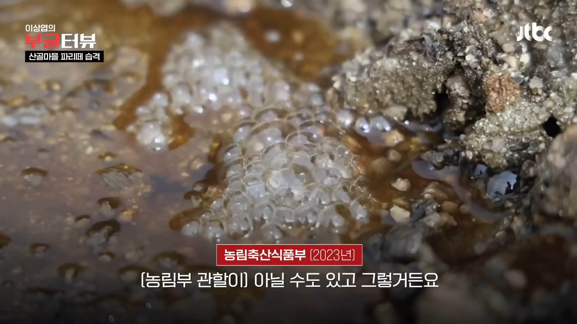분뇨 700톤 쌓인 산속, 1년째 ',그대로',…지자체 ',대집행', 결정 _ JTBC 뉴스룸 1-12 screenshot.png