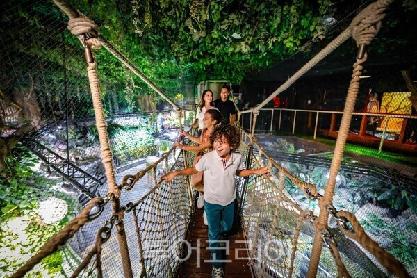 사진- 에미레이트 항공