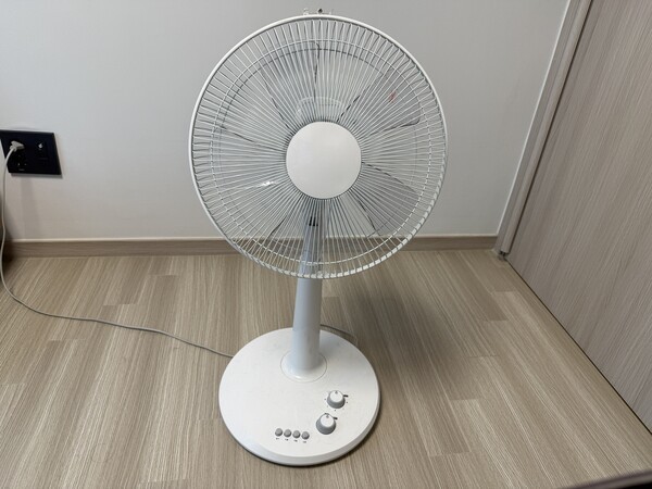 건강의 모든 것