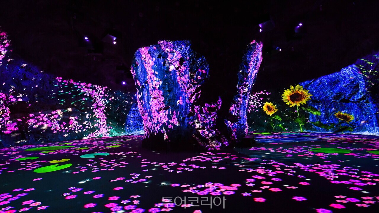 화암동굴/ 사진-정선군