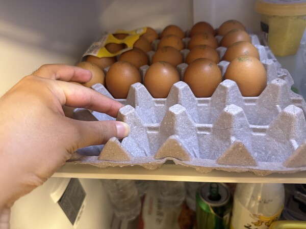 건강의 모든 것