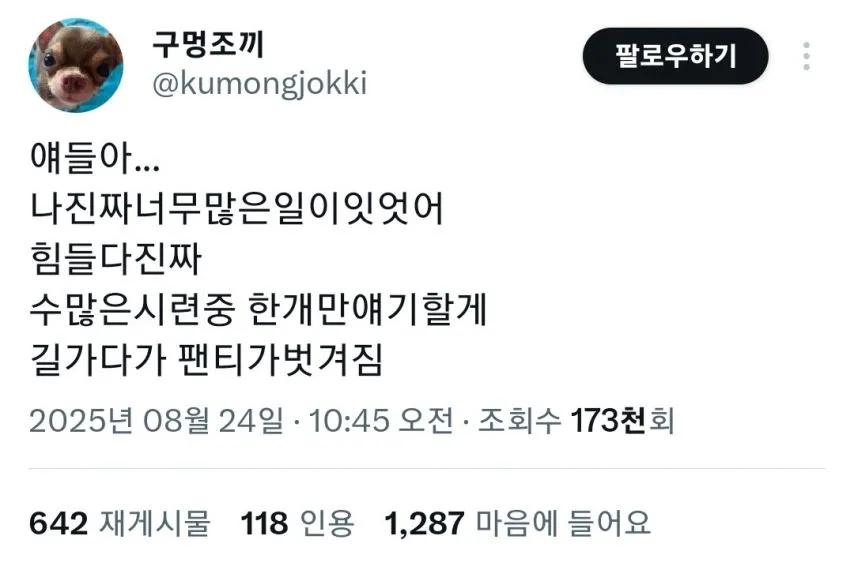 다이소에서 절대 사면 안되는 물건 1위