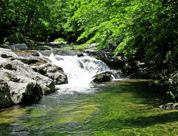 온라인 커뮤니티