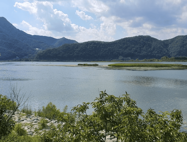 온라인 커뮤니티