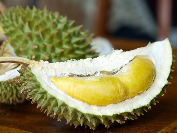 melakajp