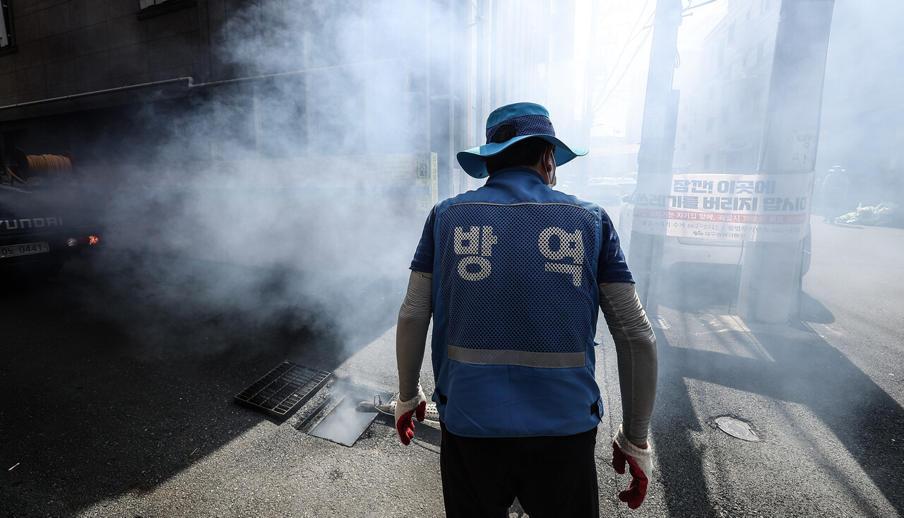 모기도&nbsp;여름 고온에 지친다…이제 가을에 더 극성[연합뉴스]