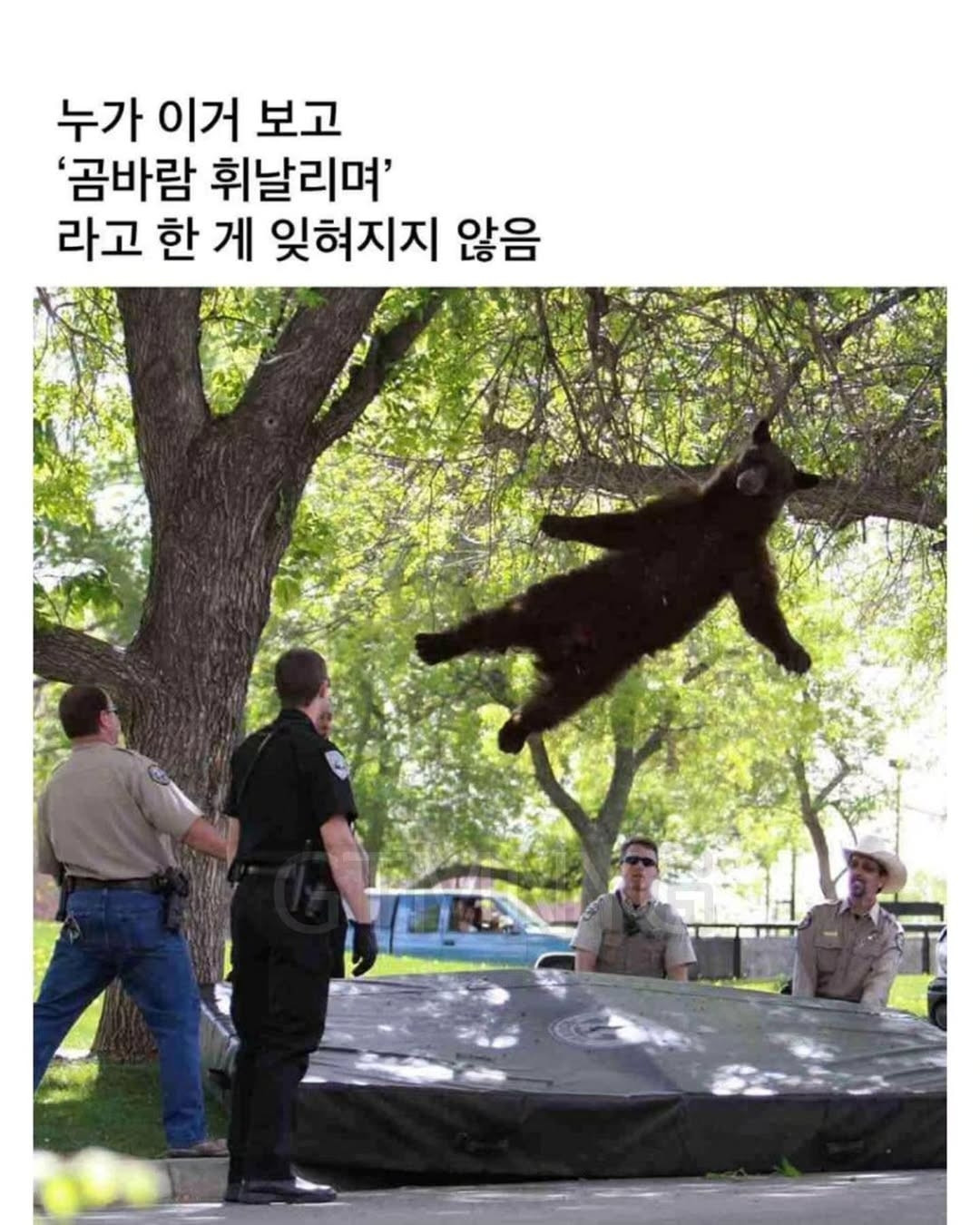 17579216761814.jpeg