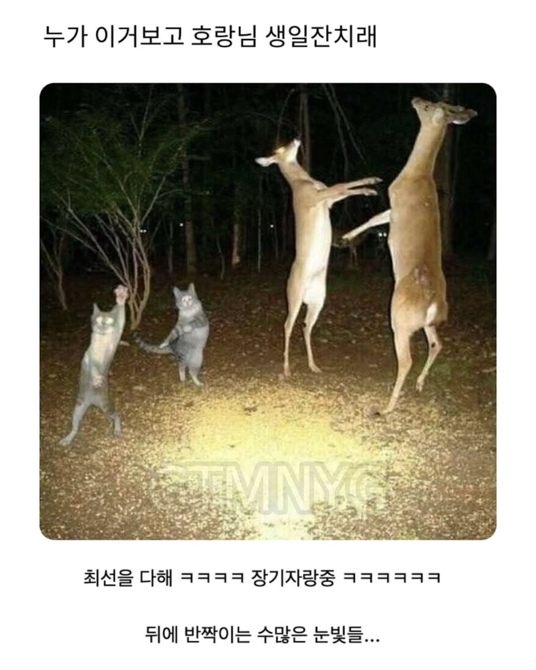 17579216758491.jpeg
