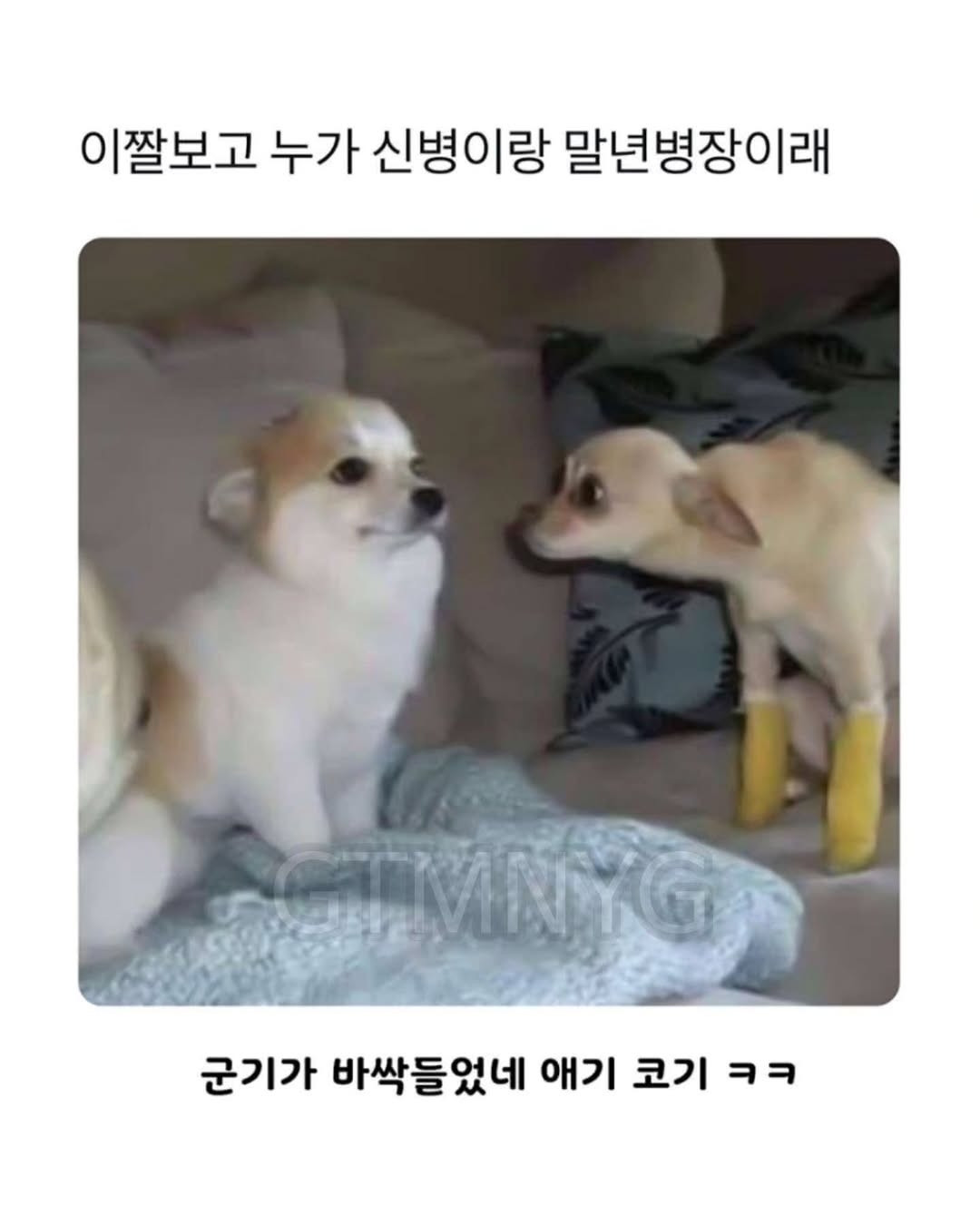 17579216755717.jpeg