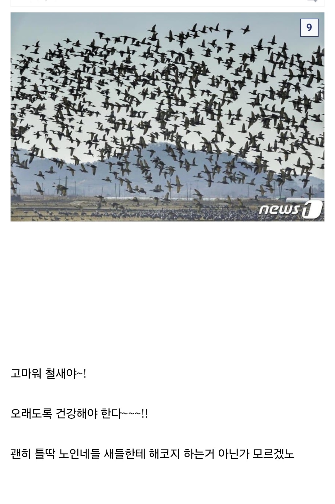 8077억짜리 새만금 국제공항 근황 7