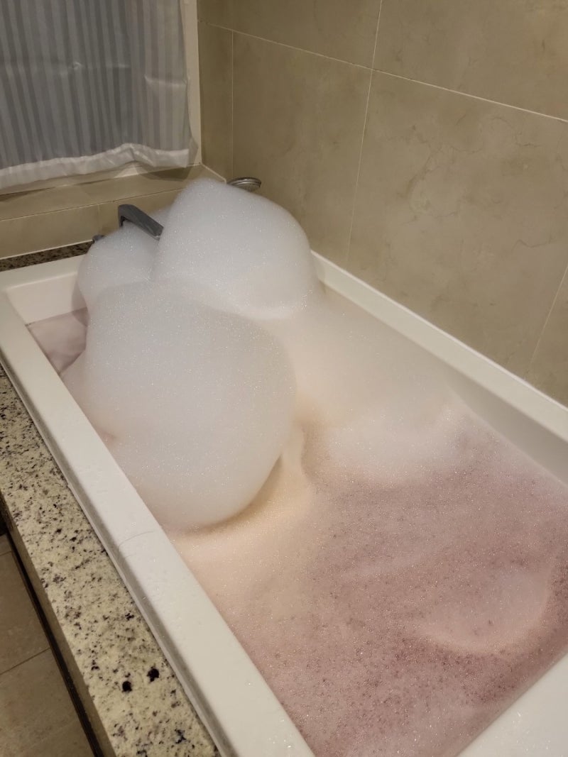 언니들 일본여자들은 내조잘해?