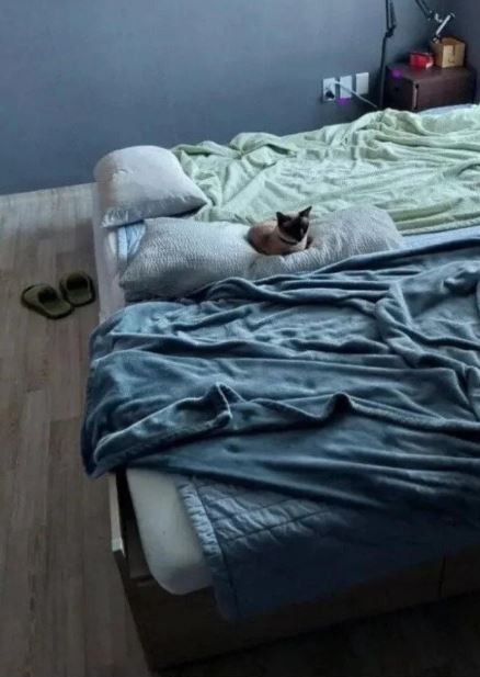 여친이랑 XX하게 집 비워 달라는 아들