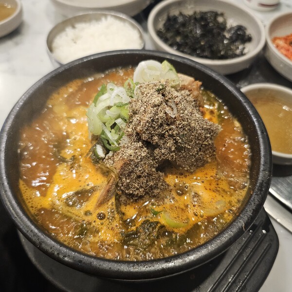 건강의 모든 것