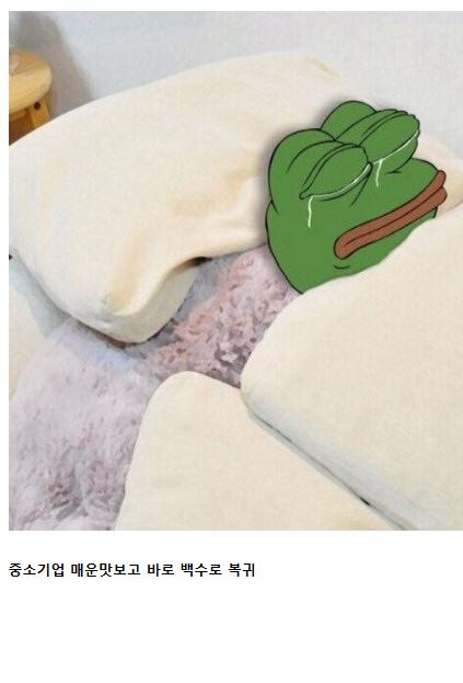 2030 인생이 망하는 과정 7
