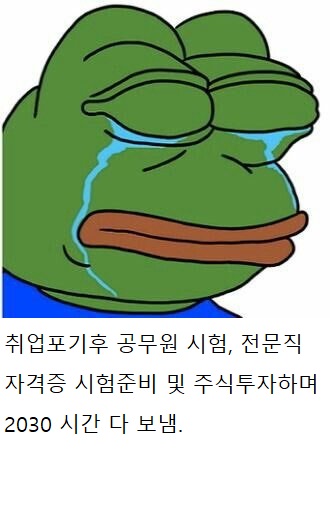 2030 인생이 망하는 과정 9