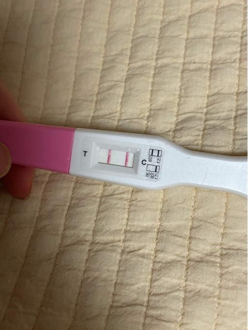 동생이 사고 쳐서 고2 여친을 임ㅅ시킴.. +후기