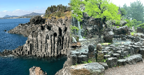 비짓제주 /&nbsp;온라인 커뮤니티