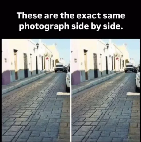 (착시) 이것은 동일한 사진을 나란히 붙여놓은 것 입니다.